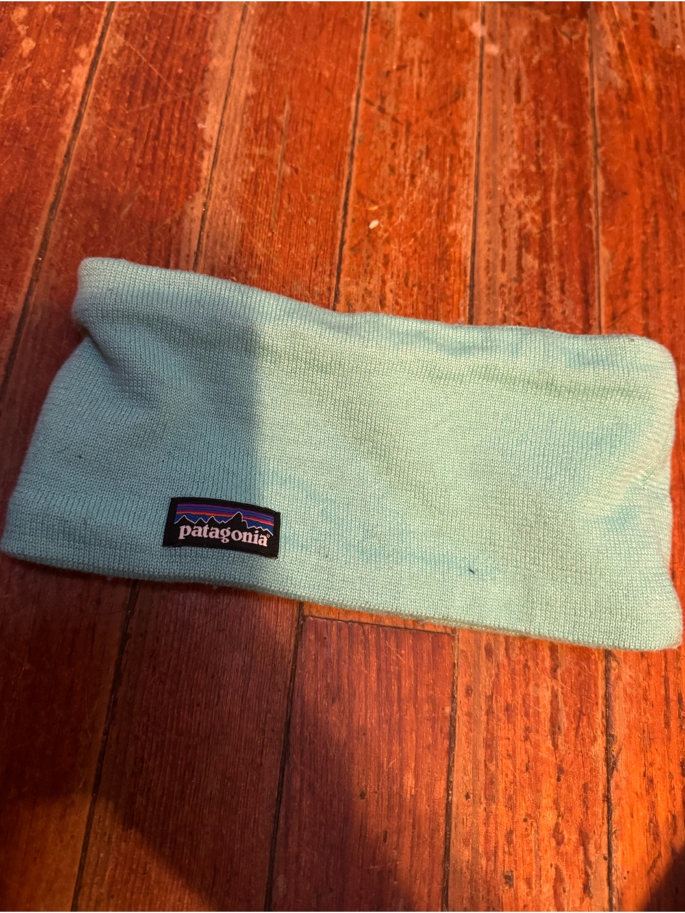 Patagonia Mint-Turquoise Fleece Headband with Logo